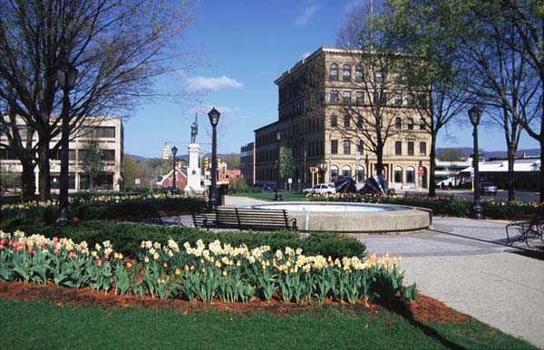 Tulips in Park Square