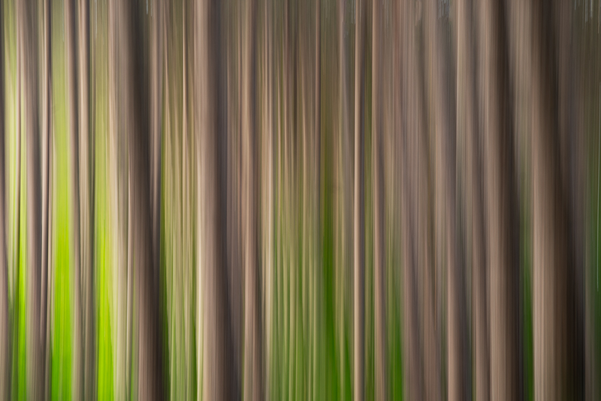 Home Berkshire Camera Club